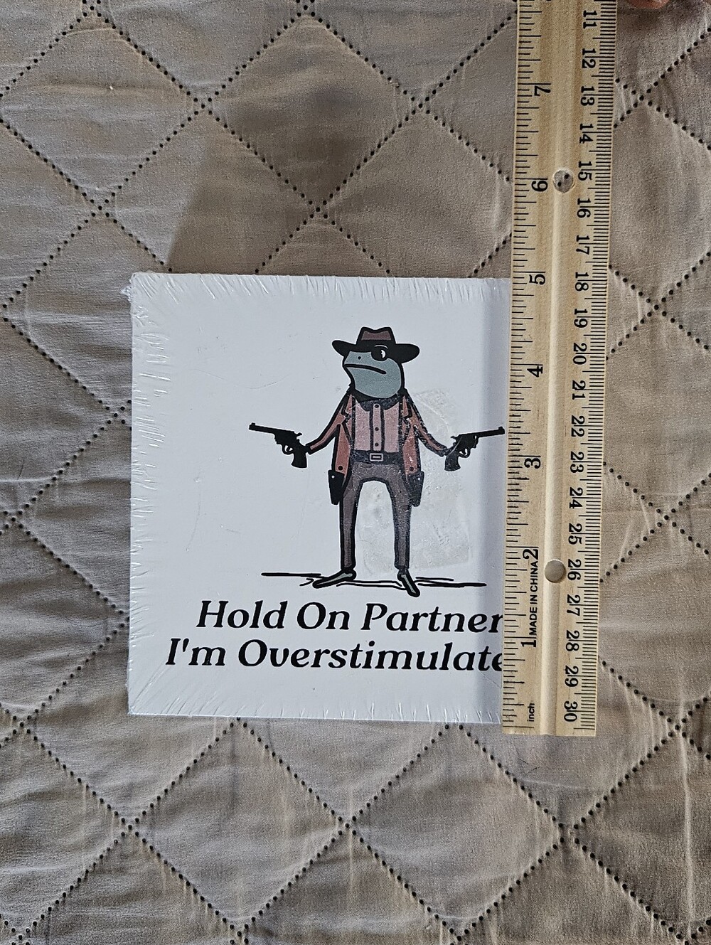 NEW Cowboy frog home decor, wooden decor